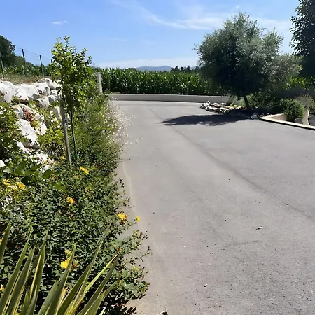 La Belle *
